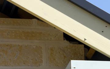 soffit repair West Carlton