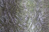 West Carlton fibreglass roof work